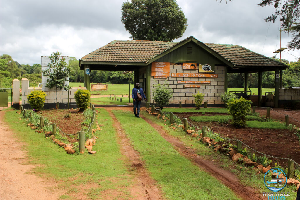 Mt Elgon Hiking